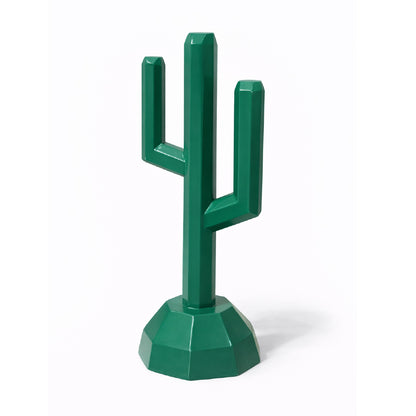 Cactus Oasis